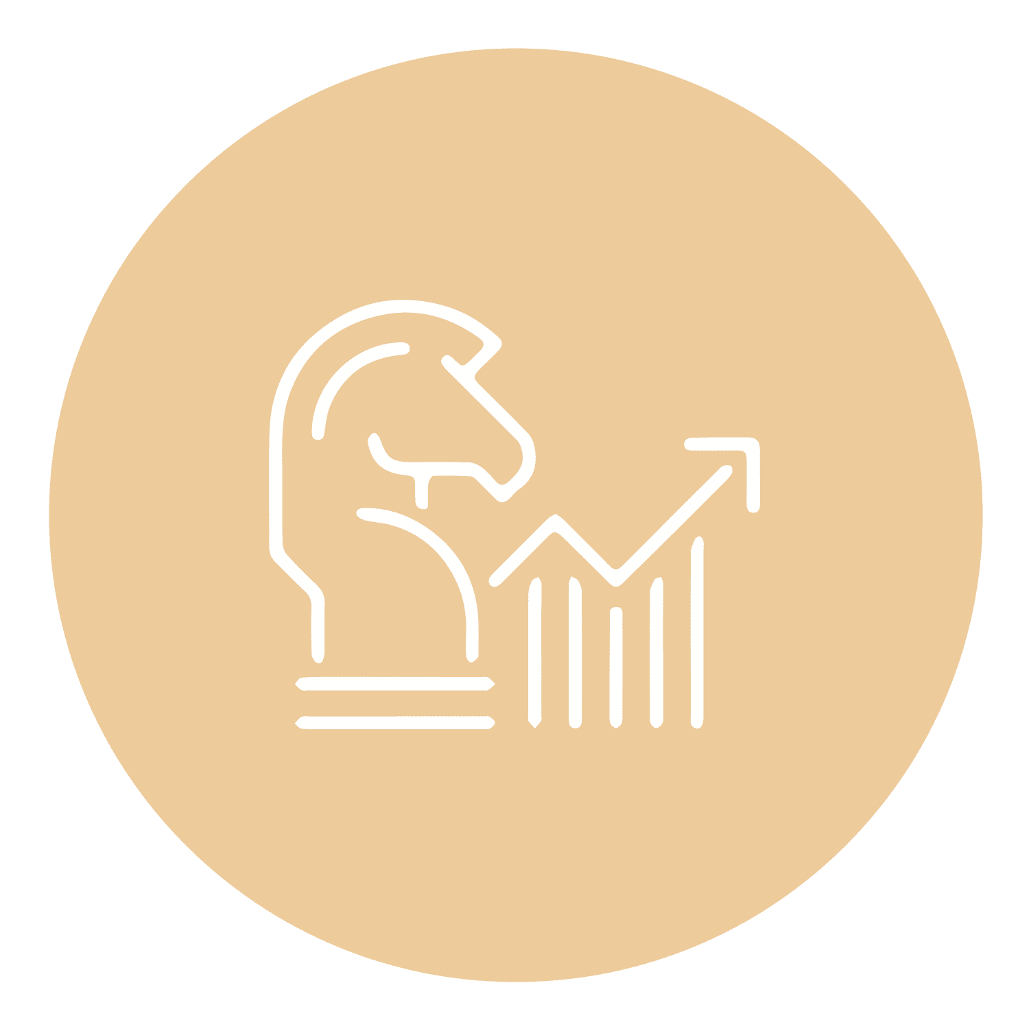 Sales & Partner Strategie