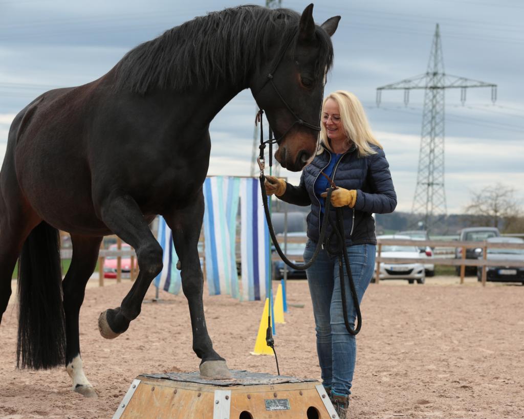 Was Manager von Pferden lernen können zeigt Simone Zahn mit einem schwarzen Pferd.