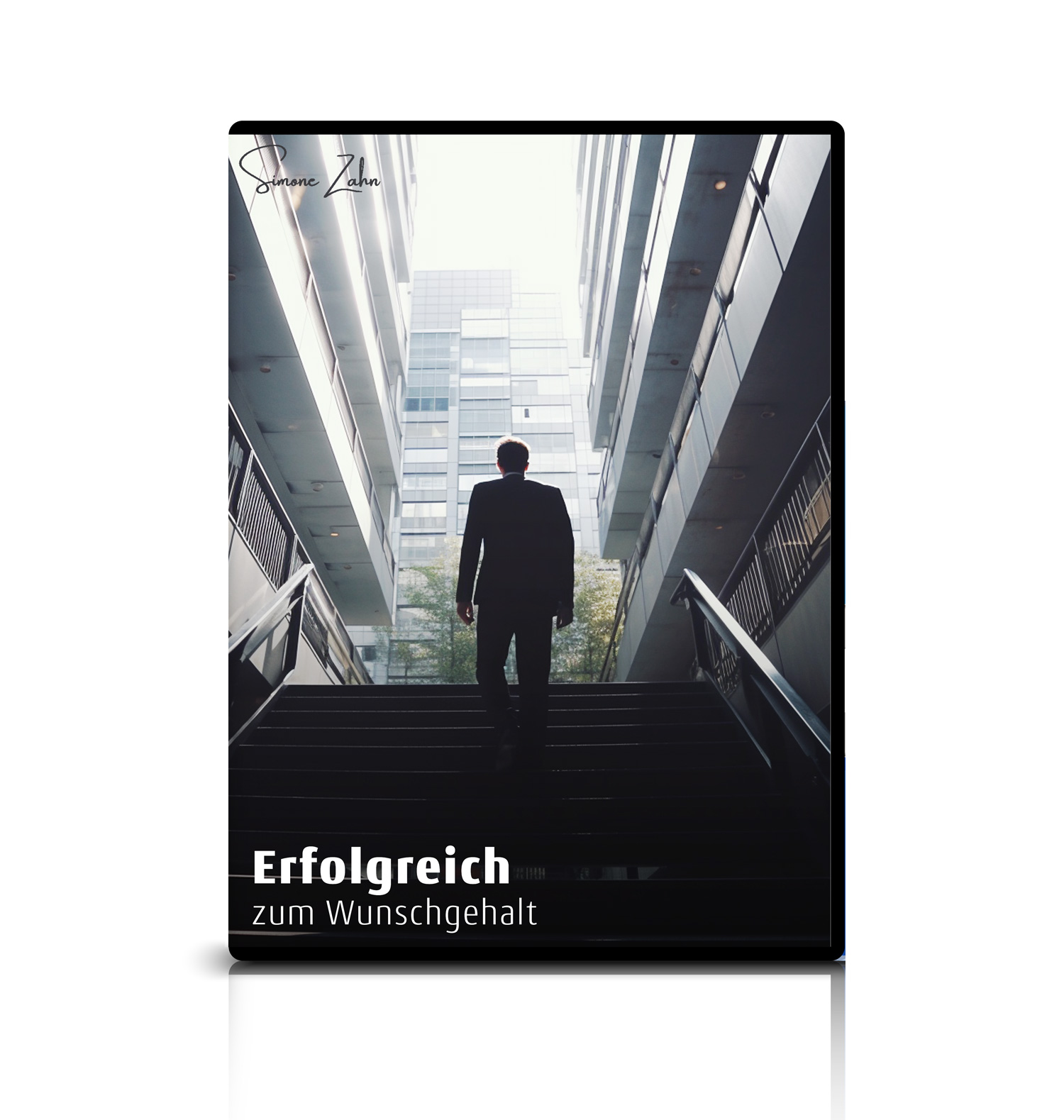 virtual-product-academy-wunschgehalt Erfolgreich zum Wunschgehalt. Covermotiv mit einem aufsteigenden Manager.
